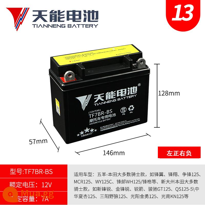 Ắc quy đầu máy Tianneng 12V công suất dầm cong không cần bảo dưỡng 125 bàn đạp ba bánh 7A9A ắc quy khô đa năng - Số 13: Ắc quy khô ô tô TF7BR-BS Wuyang (phía trước bên trái)