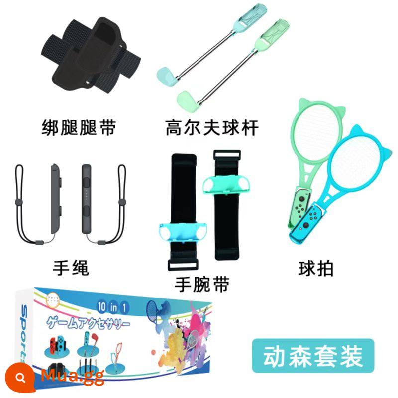 Trong kho, Paradise Switch Dance Blood Care Sports Dance Power Full 2023 Phụ kiện Dancing Aerobic Dancing Sensing Care Ring Ring Tay lái - Phụ kiện thể thao [bộ 10 trong 1] Animal Crossing