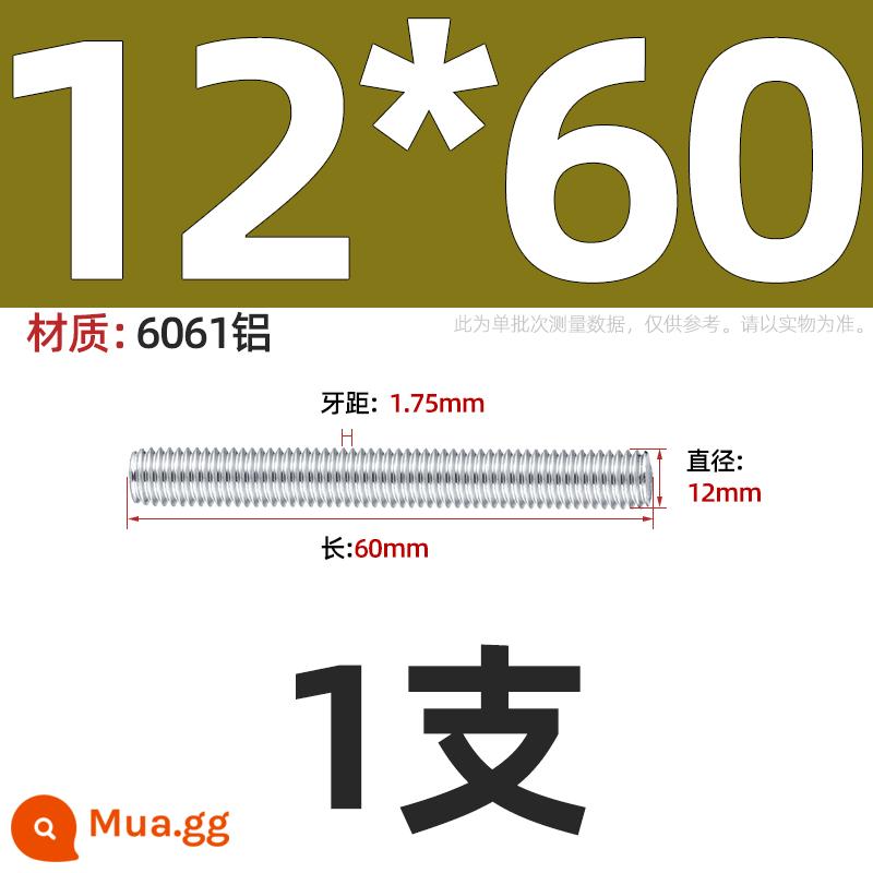 Vít có ren bằng thép không gỉ 304/201/316 cấp 8,8 xuyên qua dây Vít có ren hoàn toàn M4M5M6M8-M36 - M12*60-1 mảnh