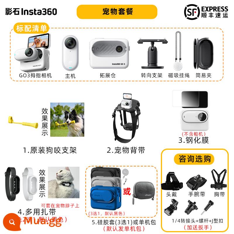 [Hàng mới có hàng] Yingshi Insta360 GO 3 Thumb Camera Thể thao Cha mẹ và con Vlog Đi xe đạp Chống nước GO3 - Gói thú cưng (vui lòng tham khảo để biết điều bất ngờ~)