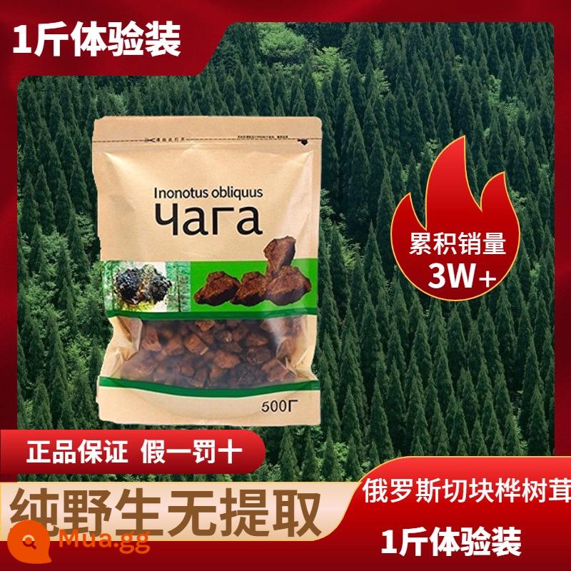 Chaga nhung hoang dã một nhung chaga catty chính hãng nhập khẩu từ cửa hàng hàng đầu của Nga vàng đen không phải núi Trường Bạch Chaga obliquus - [10% người yêu thích đường chọn] Gói dùng thử 500g nhập khẩu từ Siberia, Nga