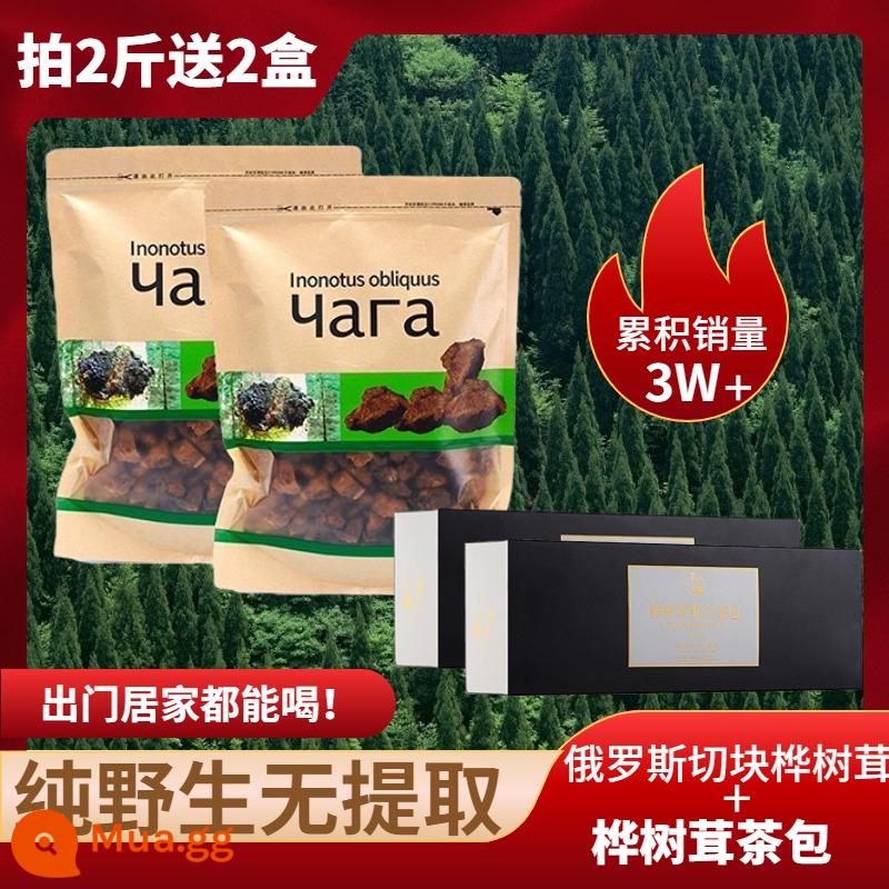 Chaga nhung hoang dã một nhung chaga catty chính hãng nhập khẩu từ cửa hàng hàng đầu của Nga vàng đen không phải núi Trường Bạch Chaga obliquus - 40% người yêu thích đường chọn [Mua 2 cân tặng 2 hộp trà túi lọc chaga]