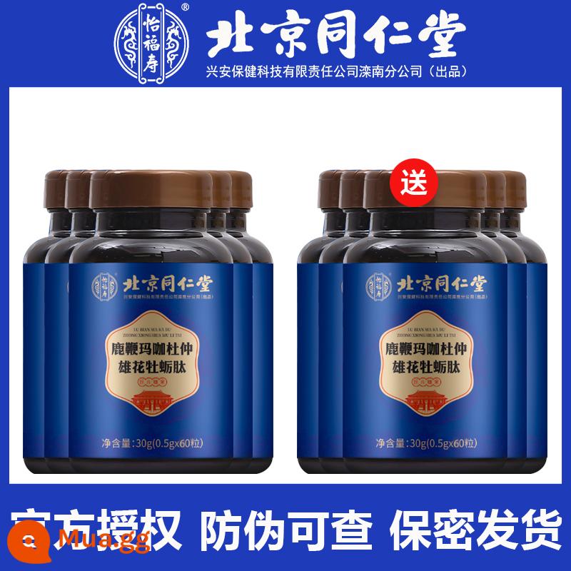 Bắc Kinh Tongrentang Roi hươu Nhân sâm Maca Oyster Peptide Viên nén Men's Male Adult Sản phẩm uống Sản phẩm không tốt cho sức khỏe LY - [Mua 5 tặng 5] Giao hàng 10 chai