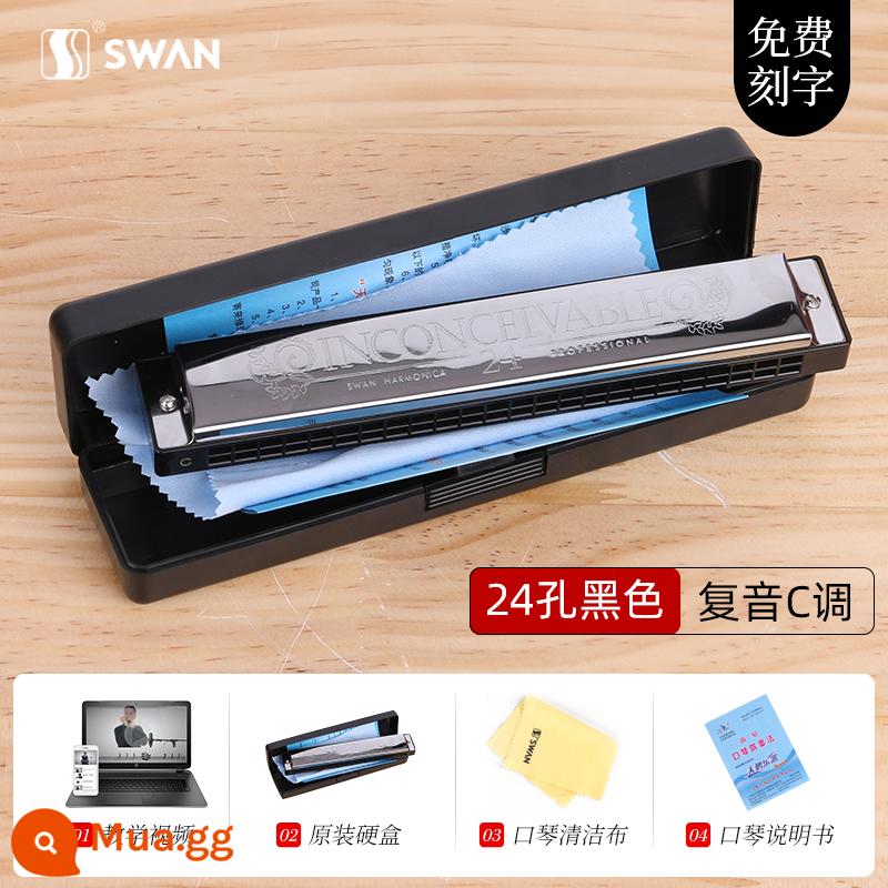 Kèn kèn thiên nga đích thực 24 lỗ C-tone đa âm cho người mới bắt đầu Harmonica nam 28 lỗ biểu diễn chuyên nghiệp cấp độ nâng cao - [Mẫu mới bắt đầu] Phím C đa âm 24 lỗ [Athens Black] + trọn bộ quà tặng