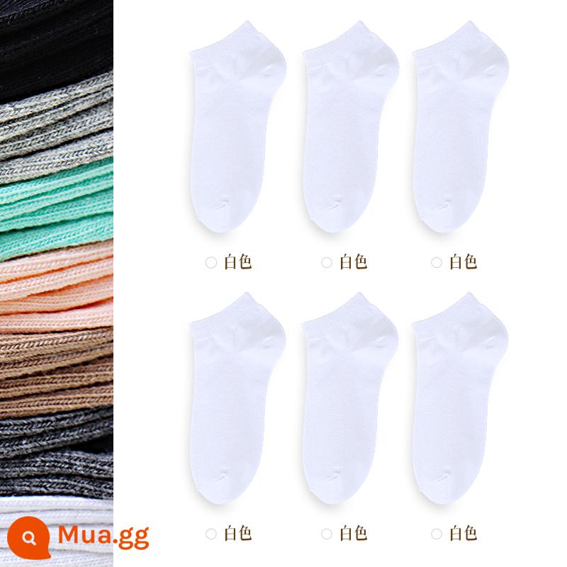 5 đôi tất ba lỗ nam nữ cotton mùa xuân thu chải kỹ thể thao màu đen thoáng khí, chống mùi hôi, thấm hút mồ hôi, tất màu trơn vừa và ngắn - [Nam] Bộ 6 đôi nòng ngắn 6 chiếc (6 màu trắng)