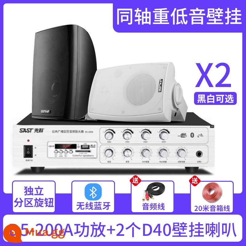 Xianke Wall Audiovutions SOUND Box Store - D5-200A bốn vùng+Loa siêu trầm D40 treo tường*Cáp âm thanh 2+20m