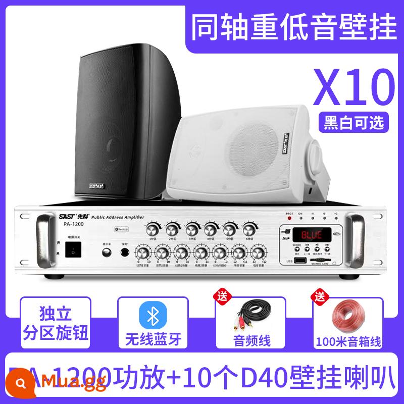 Xianke Wall Audiovutions SOUND Box Store - PA-1200 năm vùng + giá treo tường loa siêu trầm D40 *Cáp 10 + 100 mét