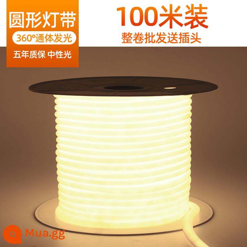 Dải Đèn LED Ngoài Trời Chống Thấm Nước 220V Siêu Sáng Nhà Phòng Khách Trần Dự Án Đèn 3 Màu Lõi Ngoài Trời Ấm Dây Dải Ánh Sáng - 100 mét [Ánh sáng 360°] 2835-144 hạt ★Ánh sáng trung tính đi kèm 10 phích cắm