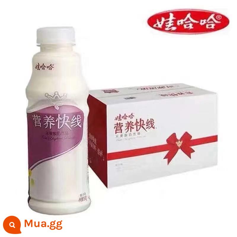 Wahaha Nutrition Express Hương vị nguyên bản 500ml15 Sữa ăn sáng FCL đóng chai Quả chà là đỏ Dâu Dứa Bánh mì Post - Hương dừa 500ml*15 chai