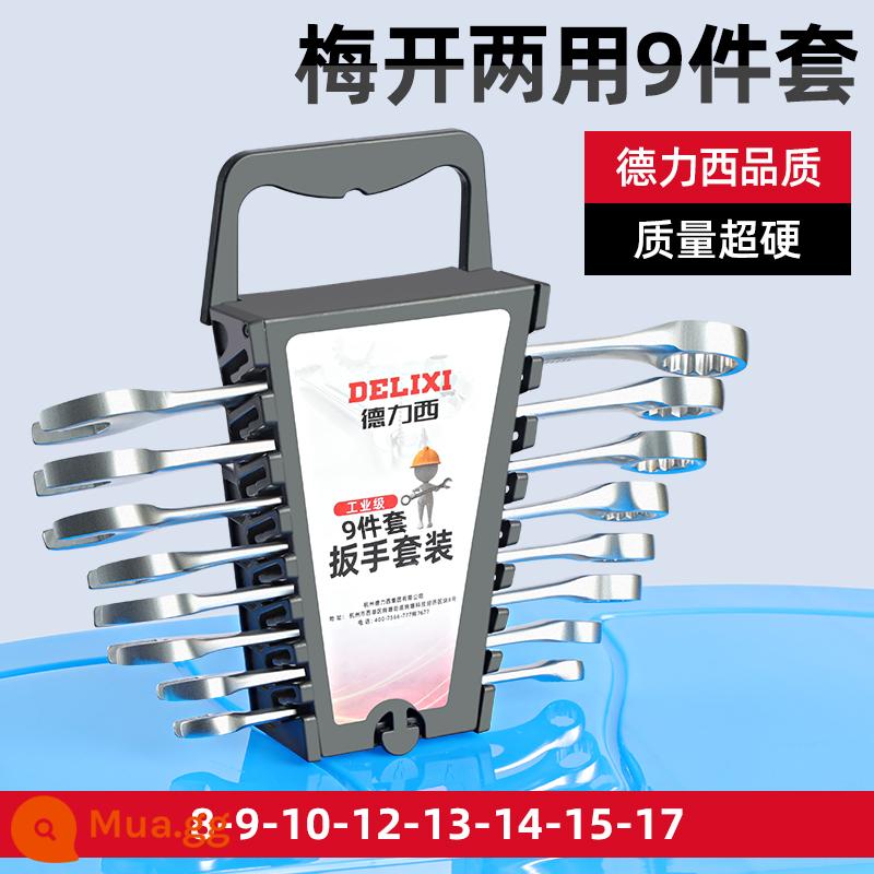 Cờ lê lưỡng dụng Delixi thép carbon cao mận mở cờ lê hoa mận cờ lê đĩa nĩa bộ cờ lê bánh cóc - Bộ 9 chi tiết [khung nhựa] 8-17