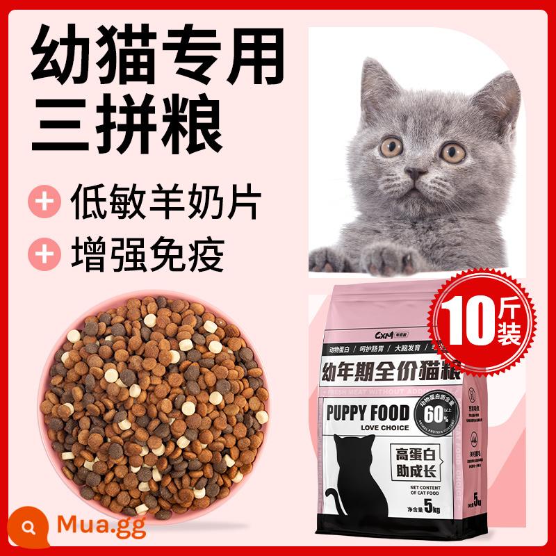 Thức ăn cho mèo con 10 catties dinh dưỡng đông khô vỗ béo lông mang 1 đến 3 tháng 4 đến 12 tháng bánh sữa con rối mèo xanh - Mèo con ba miếng 10 catties [Viên sữa dê không gây dị ứng]