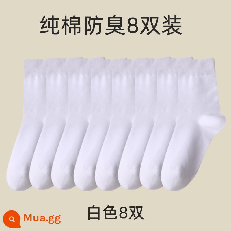 Vớ nam giữa mùa đông mùa đông ưu tú 100%cotton preittey giả vờ mùa đông cotton cotton dày cotton thể thao mùa thu và mùa đông nam - Đã nâng cấp 8 đôi ống dài màu trắng (tổng cộng 8 đôi)