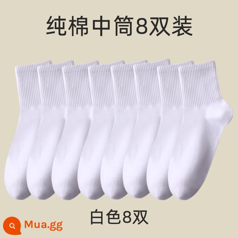 Vớ nam giữa mùa đông mùa đông ưu tú 100%cotton preittey giả vờ mùa đông cotton cotton dày cotton thể thao mùa thu và mùa đông nam - Nòng giữa được nâng cấp - 8 đôi màu trắng (tổng cộng 8 đôi)