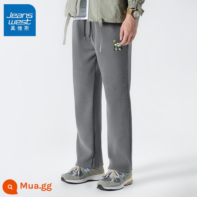 JR Jeanswest Voan quần thể thao nam Plus quần nhung mùa đông quần âu nam mùa đông quần thu đông - [Quần thẳng lông cừu] xám vừa #pandameditate