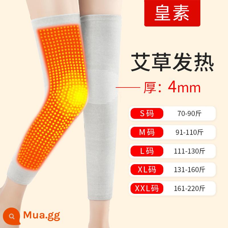 Wordworm Knee phù hợp với người đàn ông và phụ nữ cũ của đàn ông trong mùa đông nóng nén chân, cổ vật bị sốt lạnh - [Ngải cứu] Kiểu sưởi mở rộng - Xám