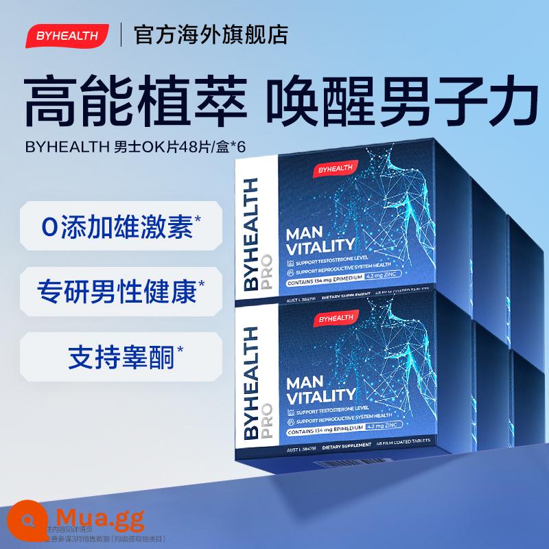 BYHEALTH OK Viên uống Vitality and Energy Viên uống Good Health Men Bổ sung kẽm Viên uống chăm sóc sức khỏe Tomson BY-HEALTH Phiên bản nước ngoài - [Gói 6 hộp] Viên nén Men's OK 48 viên/hộp