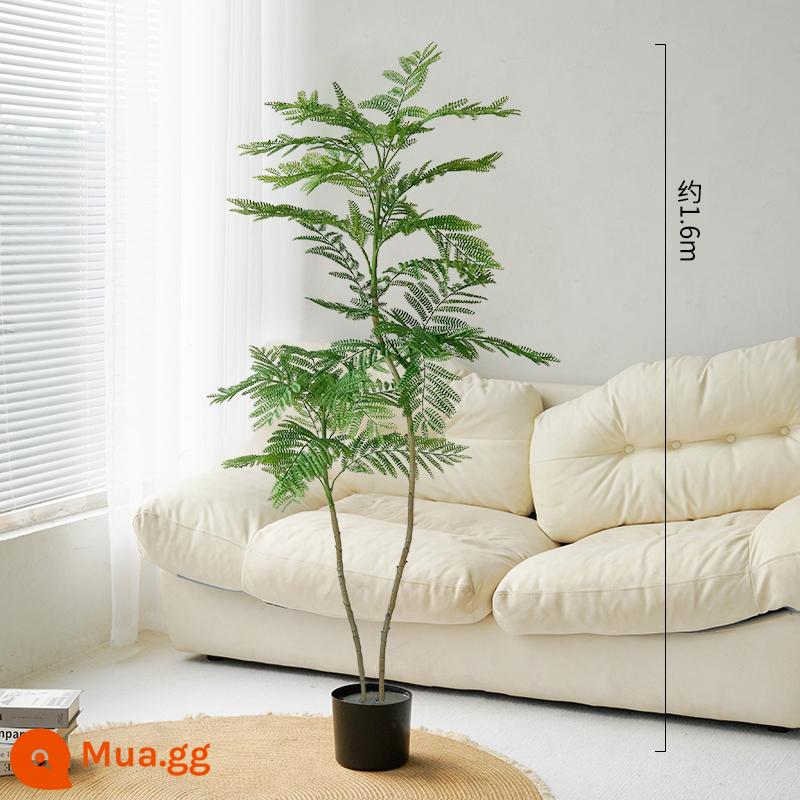 Màu xanh jacaranda mô phỏng cây xanh sàn đứng chậu cây bionic đồ trang trí trong nhà ghế sofa phòng khách trang trí cây cảnh giả cây - Jacaranda nhiều cực màu xanh 160cm