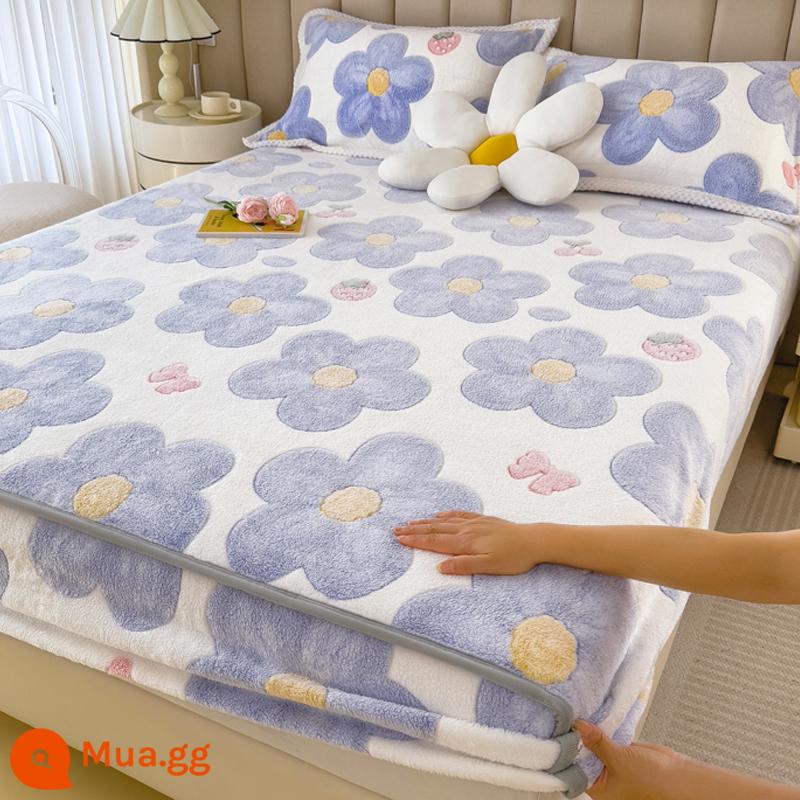 Jieliya sữa san hô mô hình Velvet Single Bed Bed Mids Matsus Mattp Mattop Caper Matsted Mattop Cast Set - Hoa lan