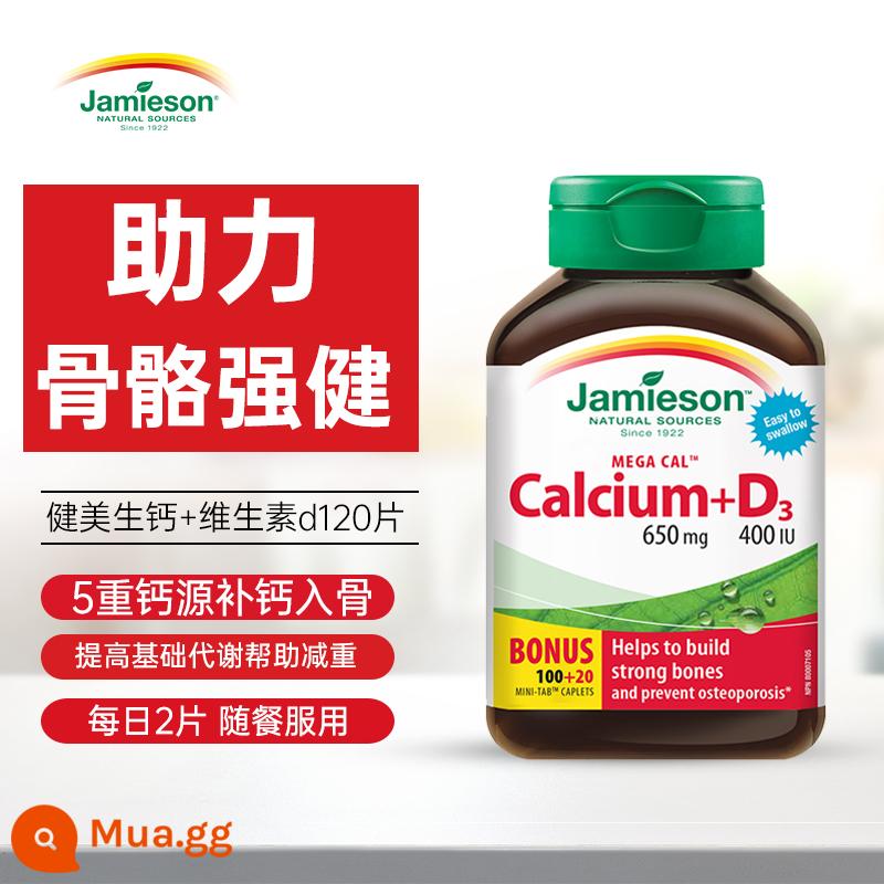 Phụ nữ tổng hợp vitamin B cải thiện quá trình trao đổi chất, tăng tốc khả năng miễn dịch cơ bản, thể hình hàng đầu - [Bổ sung canxi vào xương, tập thể dục không hại xương] Vitamin D + viên canxi 120 viên