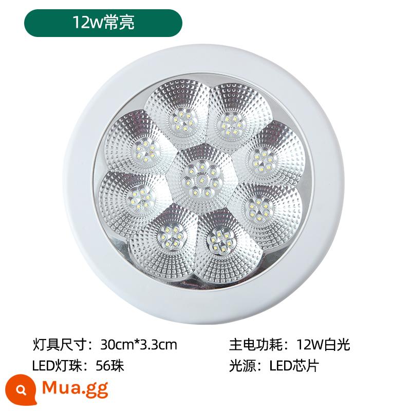 Lửa cảm ứng khẩn cấp đèn trần LED đèn điều khiển bằng giọng nói hành lang thông minh cơ thể con người đèn cảm ứng lối đi đèn chiếu sáng hành lang - 12w luôn bật + không khẩn cấp -30cm