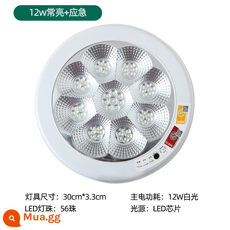 Lửa cảm ứng khẩn cấp đèn trần LED đèn điều khiển bằng giọng nói hành lang thông minh cơ thể con người đèn cảm ứng lối đi đèn chiếu sáng hành lang - 12w luôn bật+khẩn cấp-30cm