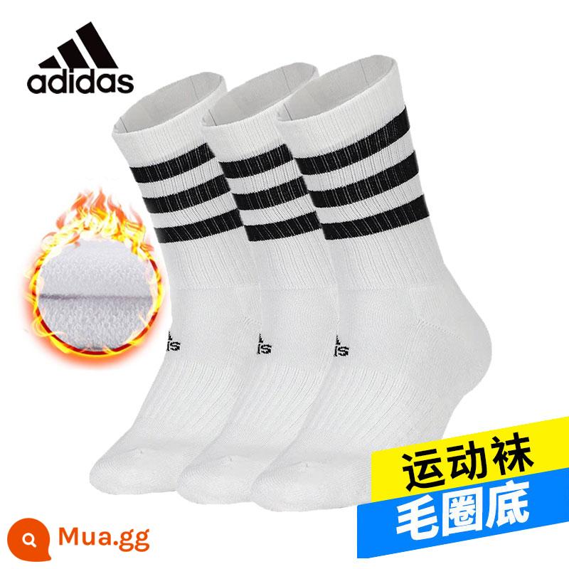 Vớ Adidasadidas, vớ bóng rổ, vớ thể thao, vớ cỏ ba lá nam, vớ trẻ em - [Đáy khăn] Trắng DZ9346 Ba đôi