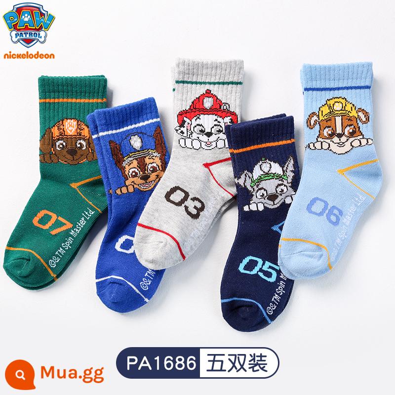 Wangwang Đội Vớ Trẻ Em Cotton Nguyên Chất Bé Trai Hoạt Hình Cho Bé Vớ Cotton Xuân Hạ Thu Đông 2-3-6 Tuổi Vớ Bé Trai - PA1686-số năm cặp