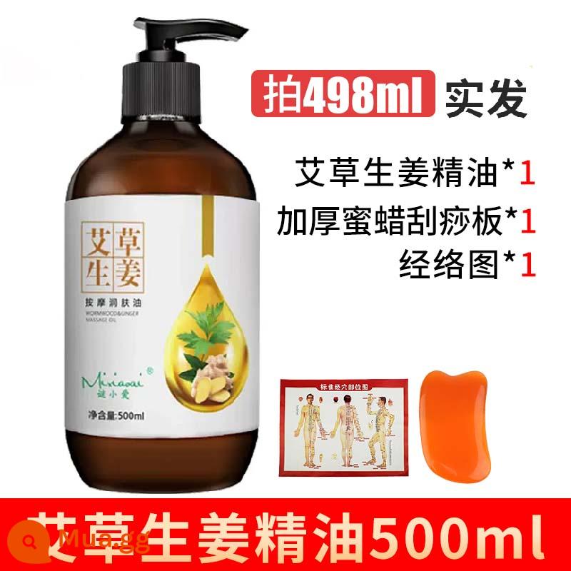 Tinh dầu gừng Artemisia massage toàn thân đả thông kinh lạc cơn sốt body mở lưng cạo thẩm mỹ đẩy lùi tinh dầu - 498ml