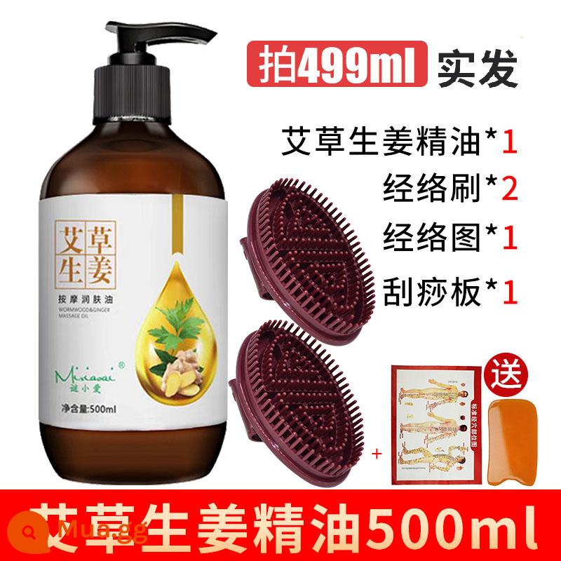 Tinh dầu gừng Artemisia massage toàn thân đả thông kinh lạc cơn sốt body mở lưng cạo thẩm mỹ đẩy lùi tinh dầu - 499ml