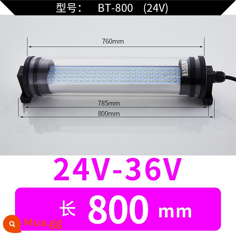 Đèn Led Máy Công Cụ Đèn Làm Việc Máy Tiện CNC Đèn Tiết Kiệm Năng Lượng Dạng Ống Đèn Huỳnh Quang 24 Đèn Chiếu Sáng Chống Dầu Chống Thấm Nước 220V - 800mm24V