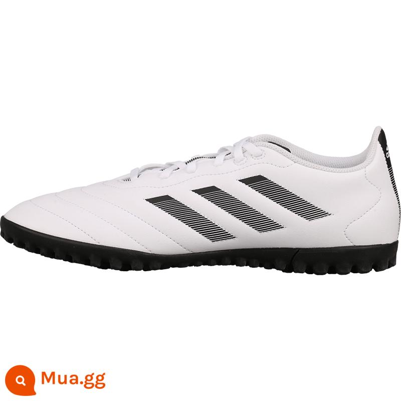 Little Plum Giày đá bóng ADIDAS/AdidasGOLETTO VIII TF gãy đinh nam trưởng thành GY5774 - GY5774