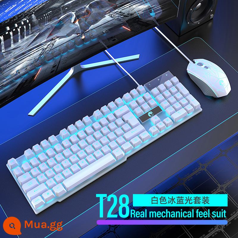 Cảm giác cơ học nhóm chuột có dây máy tính để bàn có dây game game đặc biệt USB bên ngoài USB - Bàn phím có đèn nền màu xanh băng trắng + chuột chơi game 4D