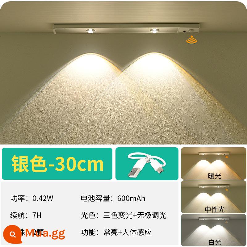 Đèn LED toàn bộ tủ ánh sáng cơ thể con người ánh sáng cảm ứng thanh nhà bếp tủ quần áo tủ giày tủ rượu ánh sáng với lực hút từ tính sạc không dây ánh sáng mắt mèo - Đèn chiếu sáng ba tông màu bạc-30CM-2