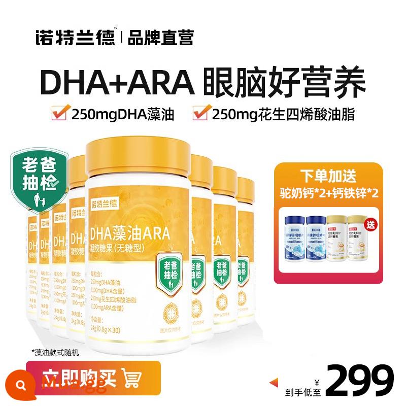 Dầu tảo Nordland dha dầu rong biển ARA dinh dưỡng cho mắt và não cho trẻ sơ sinh dầu gan cá không phải quả óc chó chính hãng - [8 chai, gói tiết kiệm chi phí] Đặt mua canxi, sắt và kẽm*2 + canxi sữa lạc đà*2 miễn phí