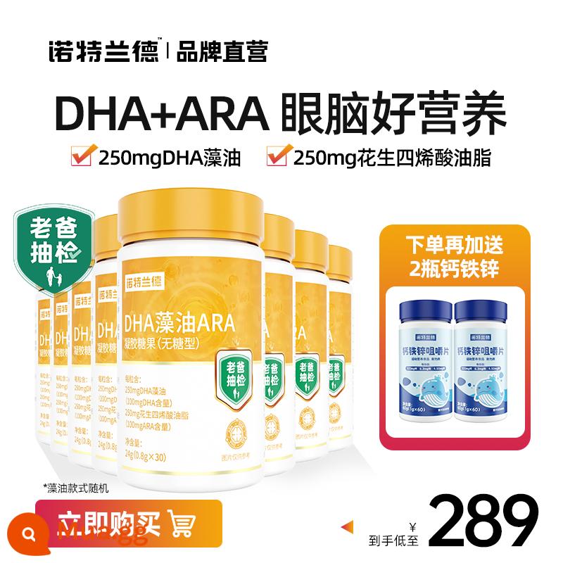 Dầu tảo Nordland dha dầu rong biển ARA dinh dưỡng cho mắt và não cho trẻ sơ sinh dầu gan cá không phải quả óc chó chính hãng - [Gói giá phải chăng tặng 8 chai] Đặt 2 chai canxi, sắt, kẽm miễn phí