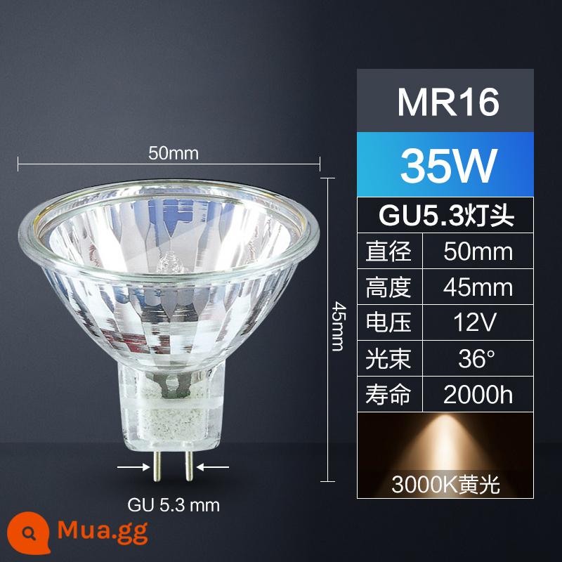 Philips MR16 cốc lớn đèn halogen cốc bóng đèn thạch anh đèn vàng 12V/20W/35W50W halogen tungsten đèn - Halogen丨1 mảnh [MR16] 35W丨Ánh sáng vàng丨Đường kính 50MM