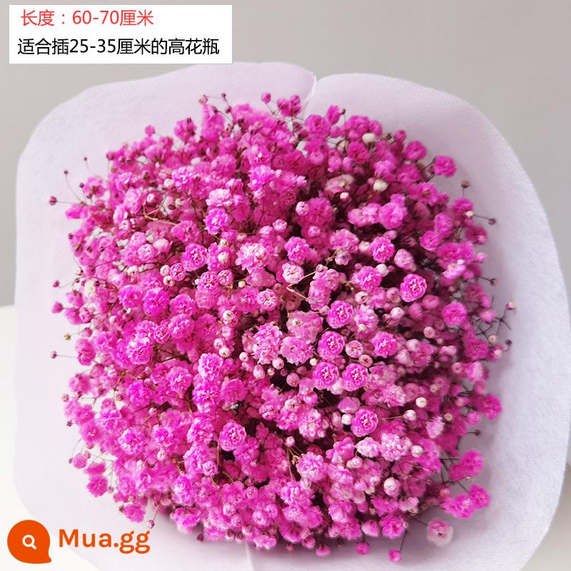 Gypsophila khô hoa trang trí phòng khách trang trí bán buôn gió tự nhiên tươi bình hoa thật quà tặng chất liệu tự làm - Một cân hơi thở em bé màu hồng (bản dài)