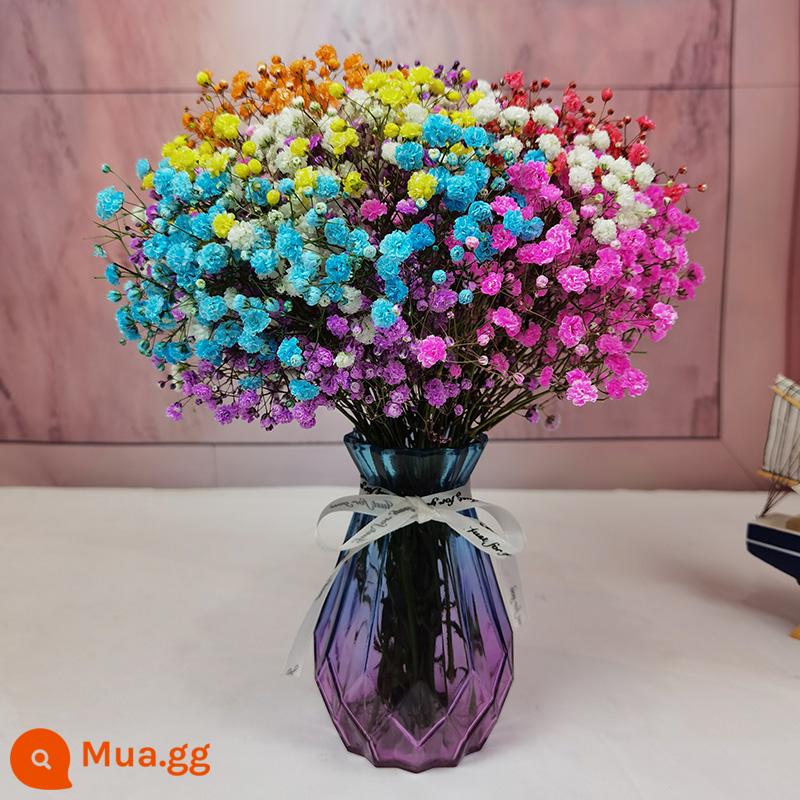 Gypsophila khô hoa trang trí phòng khách trang trí bán buôn gió tự nhiên tươi bình hoa thật quà tặng chất liệu tự làm - Hơi thở em bé đầy màu sắc + tặng 15 bình kim cương nhỏ