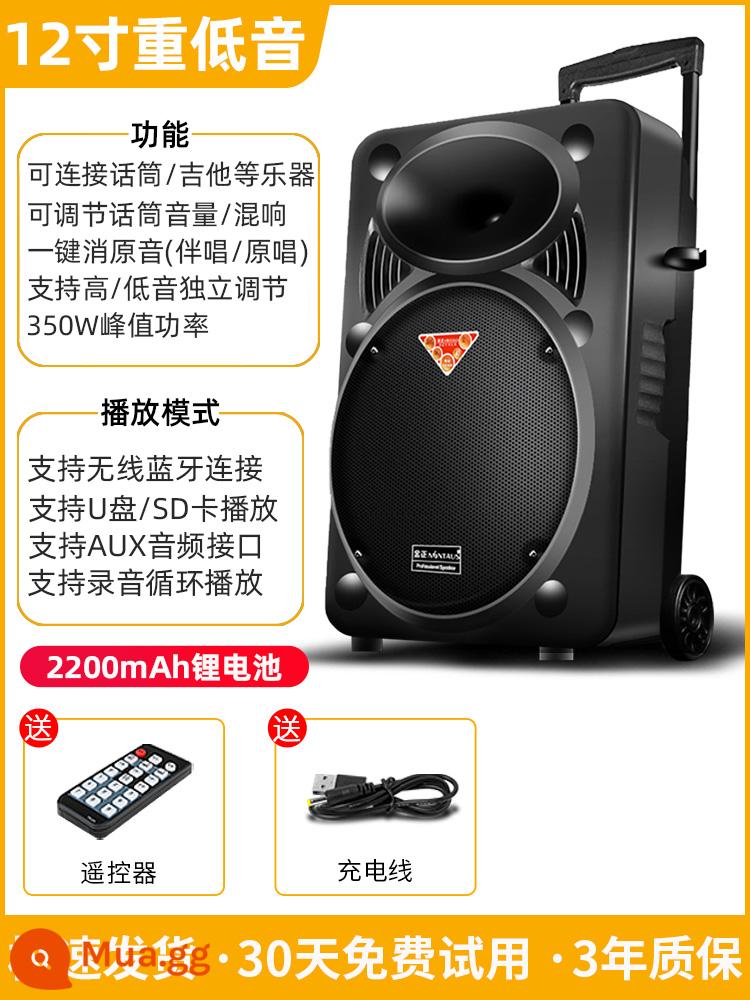 Kim Jong square dance âm thanh karaoke ngoài trời di động cần gạt bluetooth loa có micro hát hiệu suất âm lượng lớn - Loa 12 inch + pin lithium 2200mAh (cấu hình tiêu chuẩn)