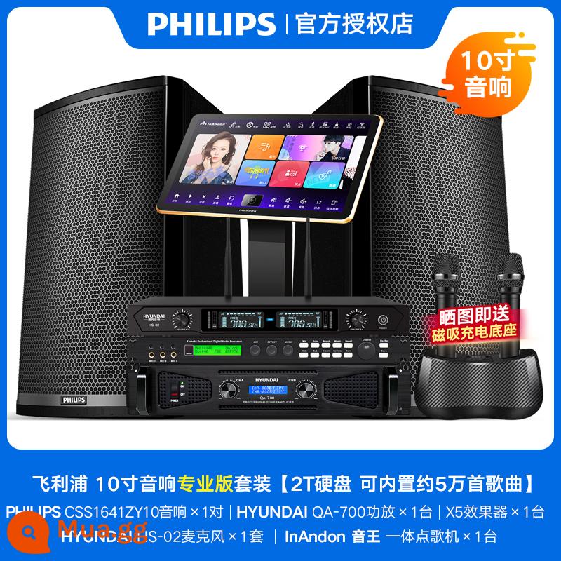 Philips Family KTV Audio Set Chuyên nghiệp K Song Một bộ đầy đủ của Karaoke Song Machine Home Sing Loa Thiết bị - Bộ hộp chuyên nghiệp 10 inch (2T) bán chạy