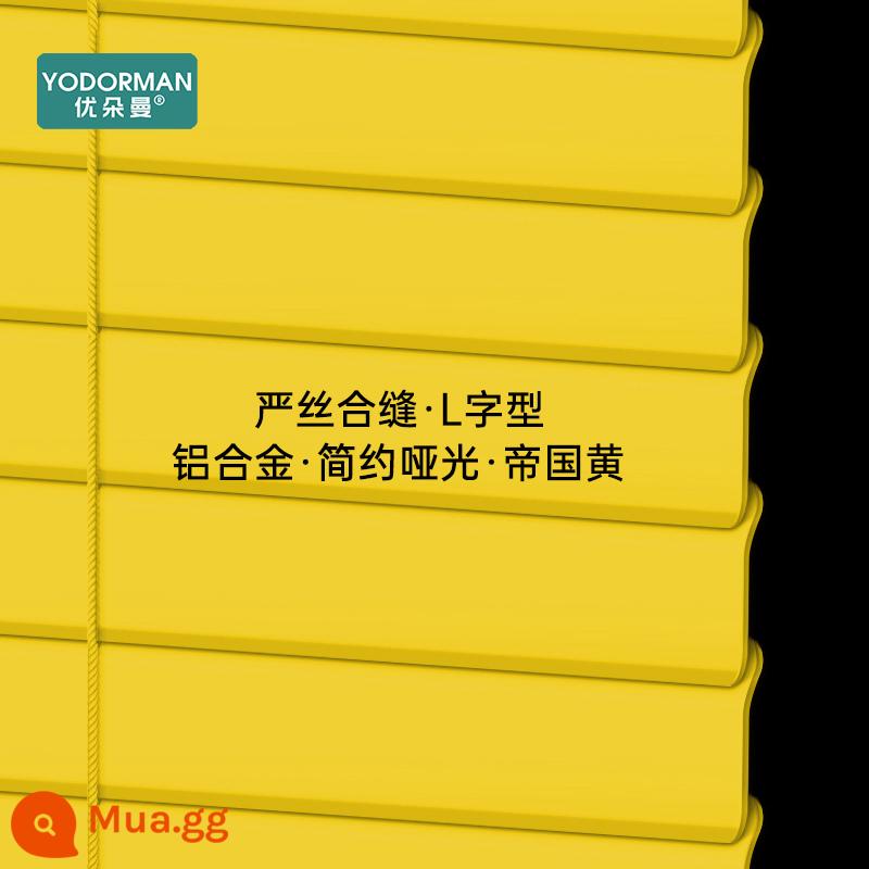 Udorman Hợp Kim Nhôm Rèm Venetian Miễn Phí Bấm Bóng Nâng Điện Đơn Giản Hiện Đại Phòng Phòng Tắm Nhà Bếp - [Mờ tiêu chuẩn] Vàng hoàng gia