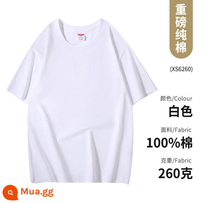 Quần áo công sở Áo thun cotton nguyên chất ngắn tay văn hóa áo sơ mi văn hóa trường trung học cơ sở đồng phục học sinh quần áo họp thể thao in logo - Loại C-màu trắng