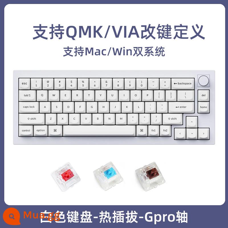 Keychron Q2 Núm 65% Tùy Chỉnh CNC Cực Dương Bàn Phím Cơ Gioăng Thiết Kế QMK Phím Thay Đổi Gpro - Q2P[phiên bản núm] RGB keycap PBT có thể tráo đổi nóng-màu trắng