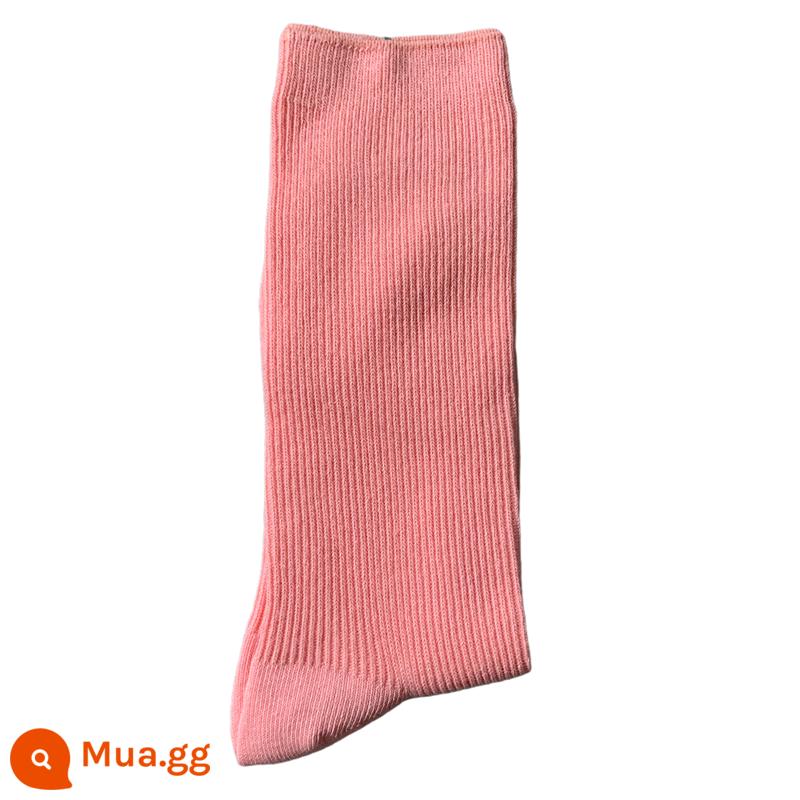 Mới Nữ Hoàng Nhật Bản Mẹ Của Phương Tây Màu Trơn Thêu Sao Thổ Mỹ Đôi Kim Cotton Phối Ống Vừa Đơn Giản Cho Nữ đống Tất Hợp Thời Trang - Tất trần không thêu/hồng