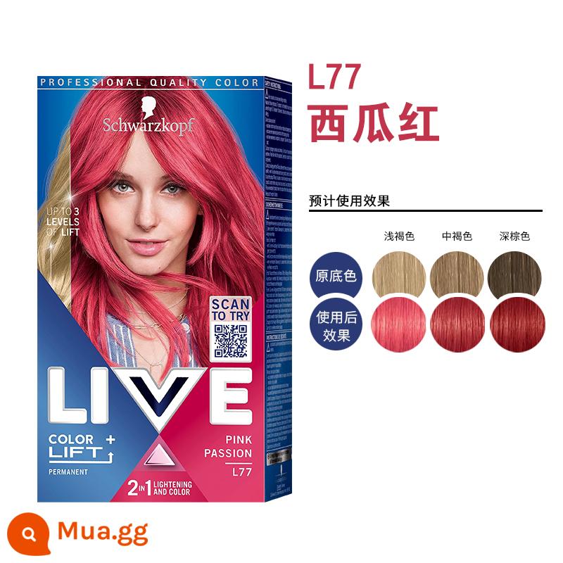 Schwarzkopf SỐNG tóc xanh đen shihualou chính thức nữ l75 bọt bong bóng 101 vật có nguyên chất kem nhuộm tóc - L77 dưa hấu đỏ