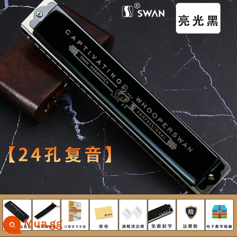 Đức nhập khẩu sậy thiên nga 28 lỗ có dấu kèn harmonica dành cho người lớn chơi chuyên nghiệp cấp mới bắt đầu Phím C đa âm 24 lỗ - [Cấp độ biểu diễn] Phím C đa âm đen 24 lỗ + trọn bộ quà tặng