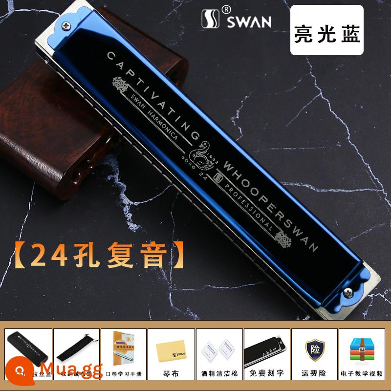 Đức nhập khẩu sậy thiên nga 28 lỗ có dấu kèn harmonica dành cho người lớn chơi chuyên nghiệp cấp mới bắt đầu Phím C đa âm 24 lỗ - [Cấp độ biểu diễn] Phím C đa âm 24 lỗ màu xanh + bộ quà tặng đầy đủ