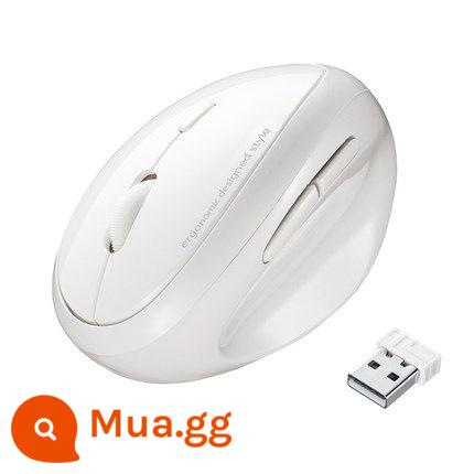 Nhật Bản Sanwa Núi Công Nghiệp Nhỏ Dọc Cầm Chuột Không Dây Nữ Notebook Máy Tính USB Chuột Có Dây Nam Chơi Game Trò Chơi Chuột Bluetooth Di Động - Model không dây màu trắng