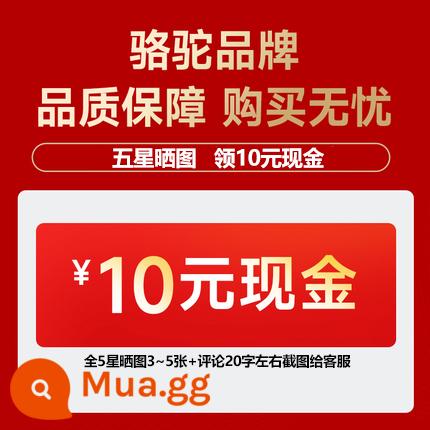 Lạc đà giường gấp văn phòng nghỉ trưa giường đơn hộ gia đình giường ngủ trưa giường đơn giản gia cố ván cứng giường ngủ trưa hiện vật - Đăng ảnh là lịch sự