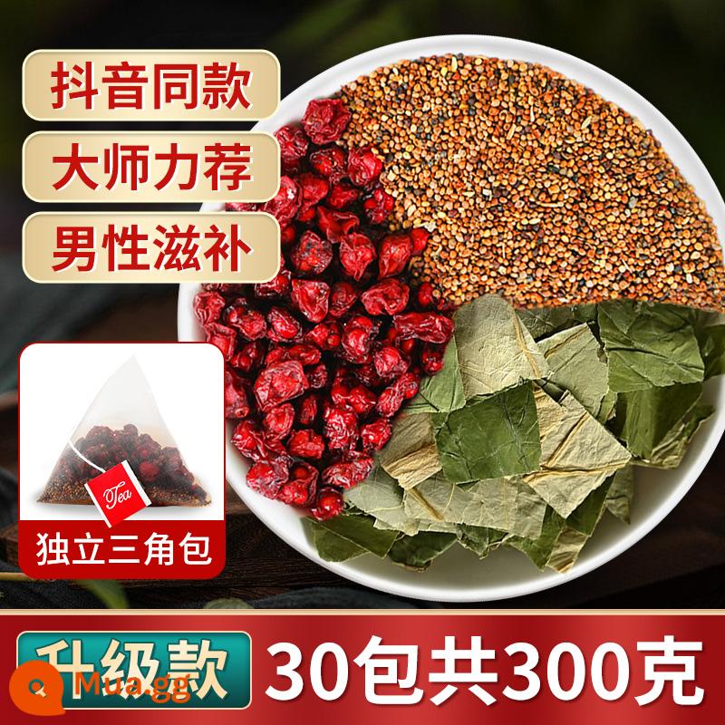 Schisandra túi tơ hồng trà thảo dược Trung Quốc thảo dược phía bắc Schisandra goji berry xác thực và túi lụa thỏ hiệu thuốc cửa hàng hàng đầu - [Nâng cấp ba hương vị] Ngũ vị hương, Cuscuta, Epimedium, 30 gói